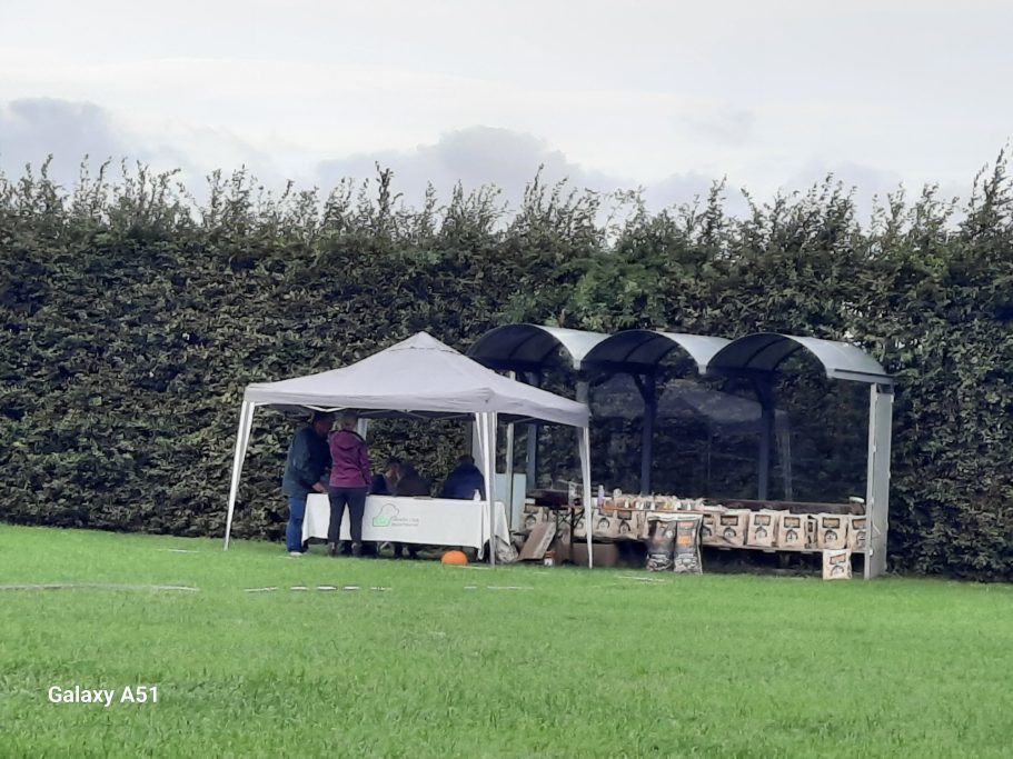 Eine graue Markise und eine Struktur mit Sitzgelegenheiten auf einer grünen Wiese.