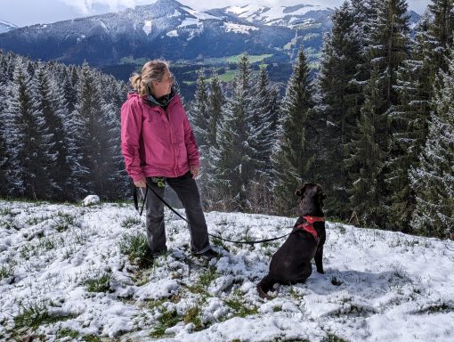 Brauner Labrador Scooby mit Frauchen in den Tiroler Bergen.