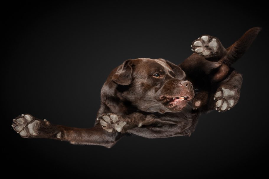 Upside-Down-Shooting mit Max Schrader